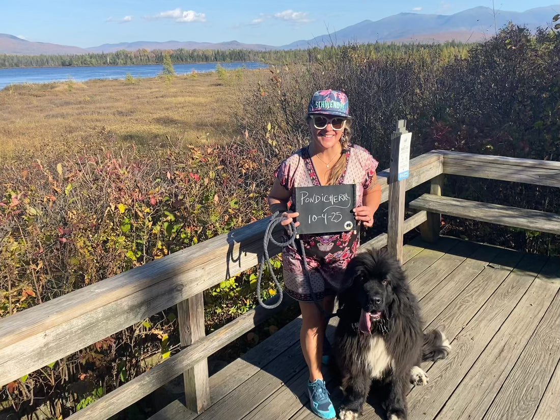 ... and this is the Adventure Scroll!