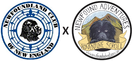 About Newfound Adventures | Creator of the Adventure Scroll